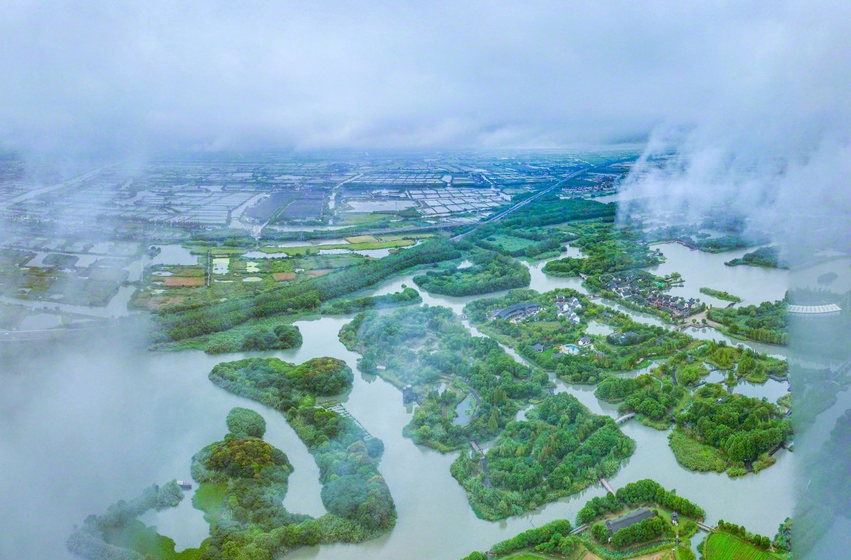 江苏深巷中的秘密花园,探寻一家隐秘特色小店