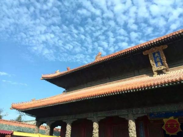 山东，传承与创新，打造新时代文化高地典范