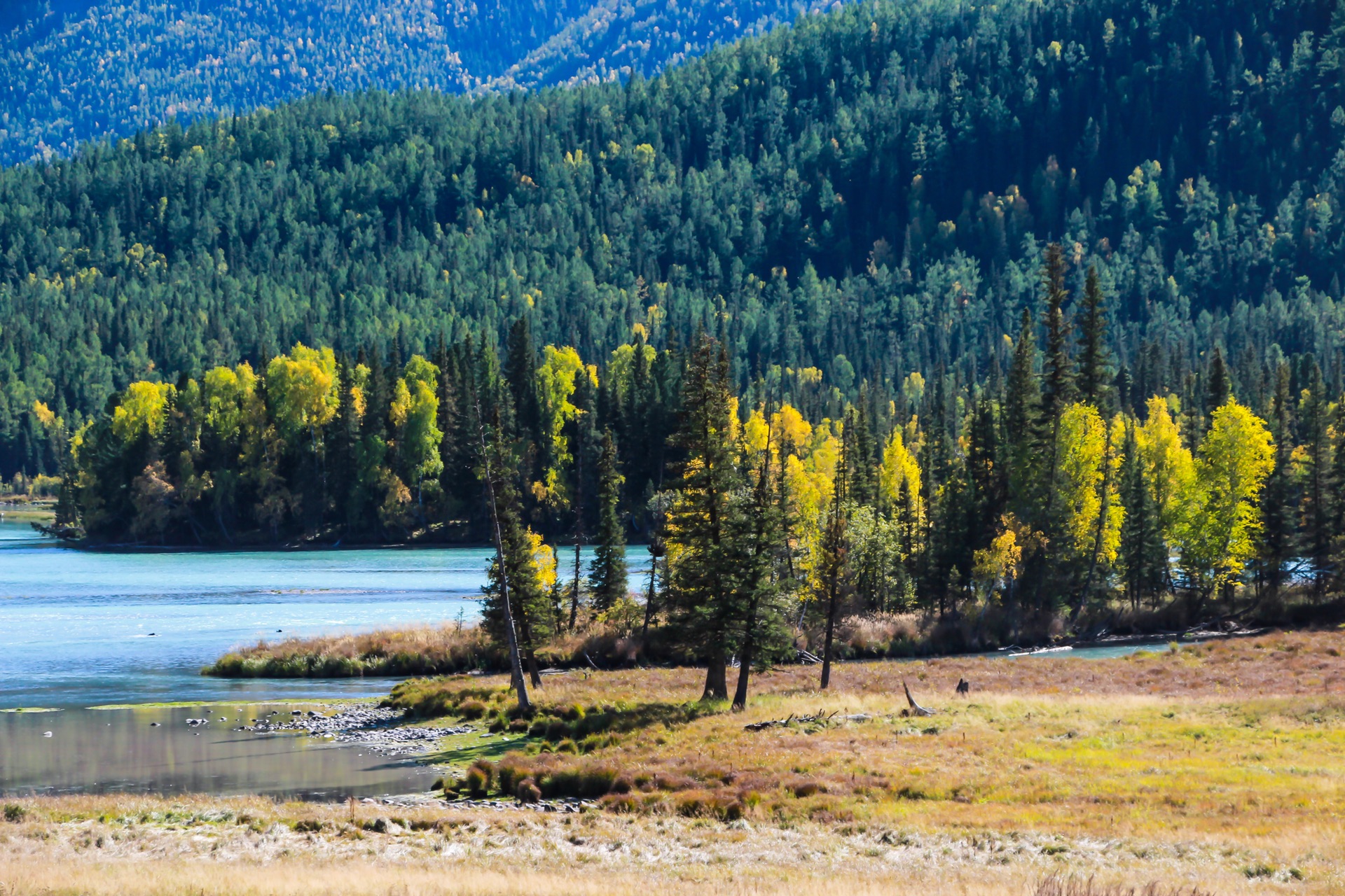 新疆,团结奋进,共筑美好家园