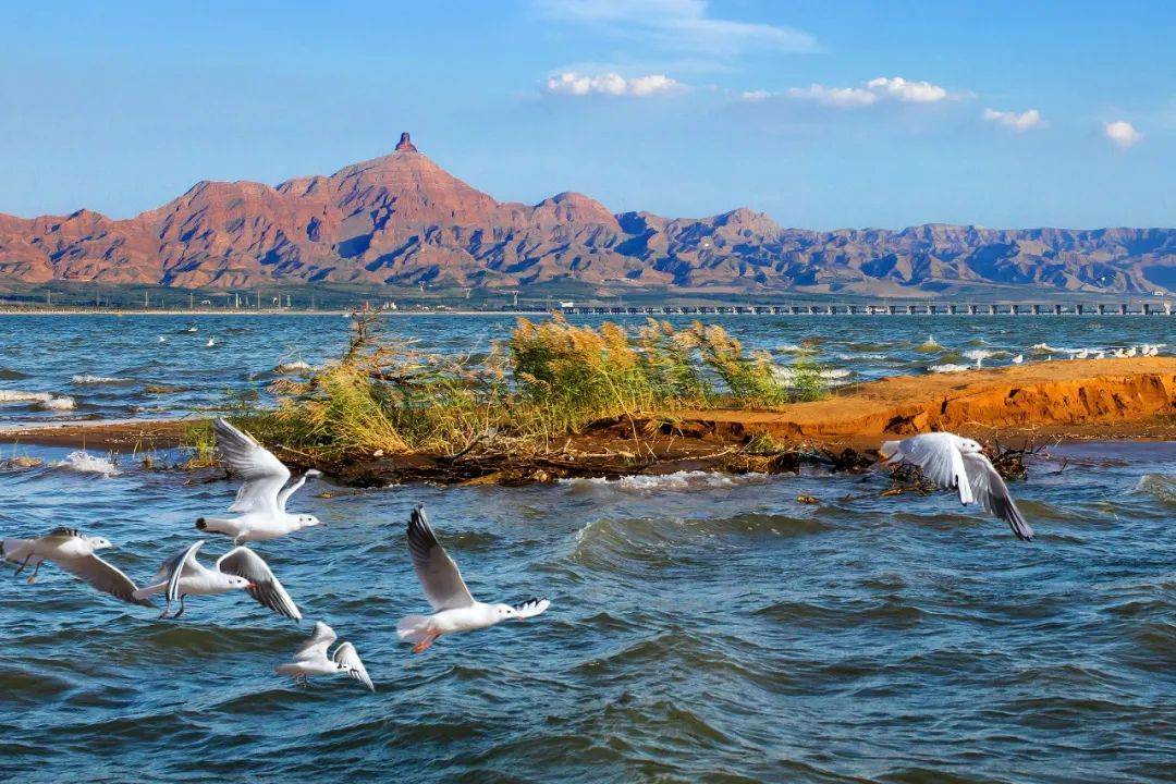 乌海,生态转型中的年轻城市发展战略