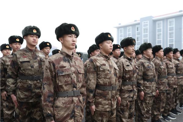 四平的独特魅力与评论文章概述