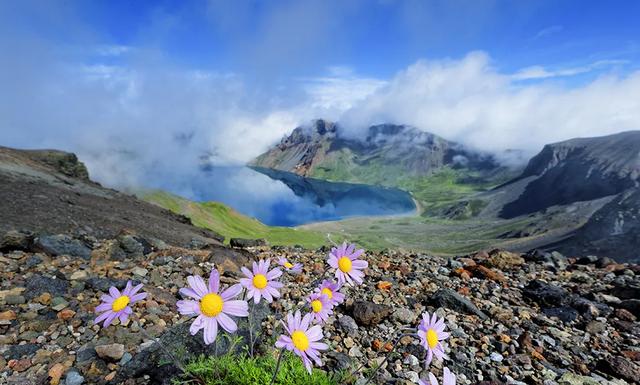 揭秘白山，自然生态之旅的绝美之旅